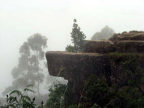 305939865Dolphin_Nose_Main